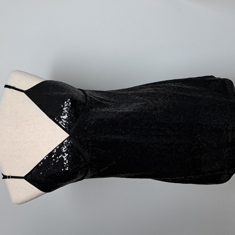 Victorias Secret The Lace cami dress